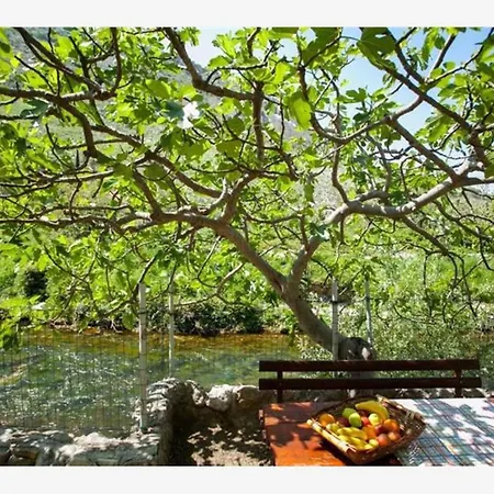 River-directly To The River Holiday home
