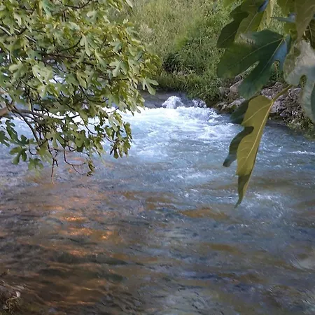 River-directly To The River Holiday home *