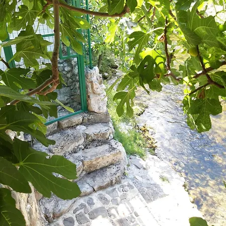 River-directly To The River Zrnovnica
