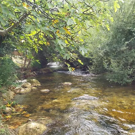 Holiday home River-directly To The River Zrnovnica
