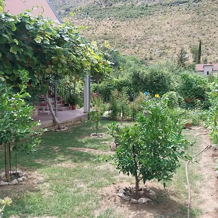 River-directly To The River Holiday home *
